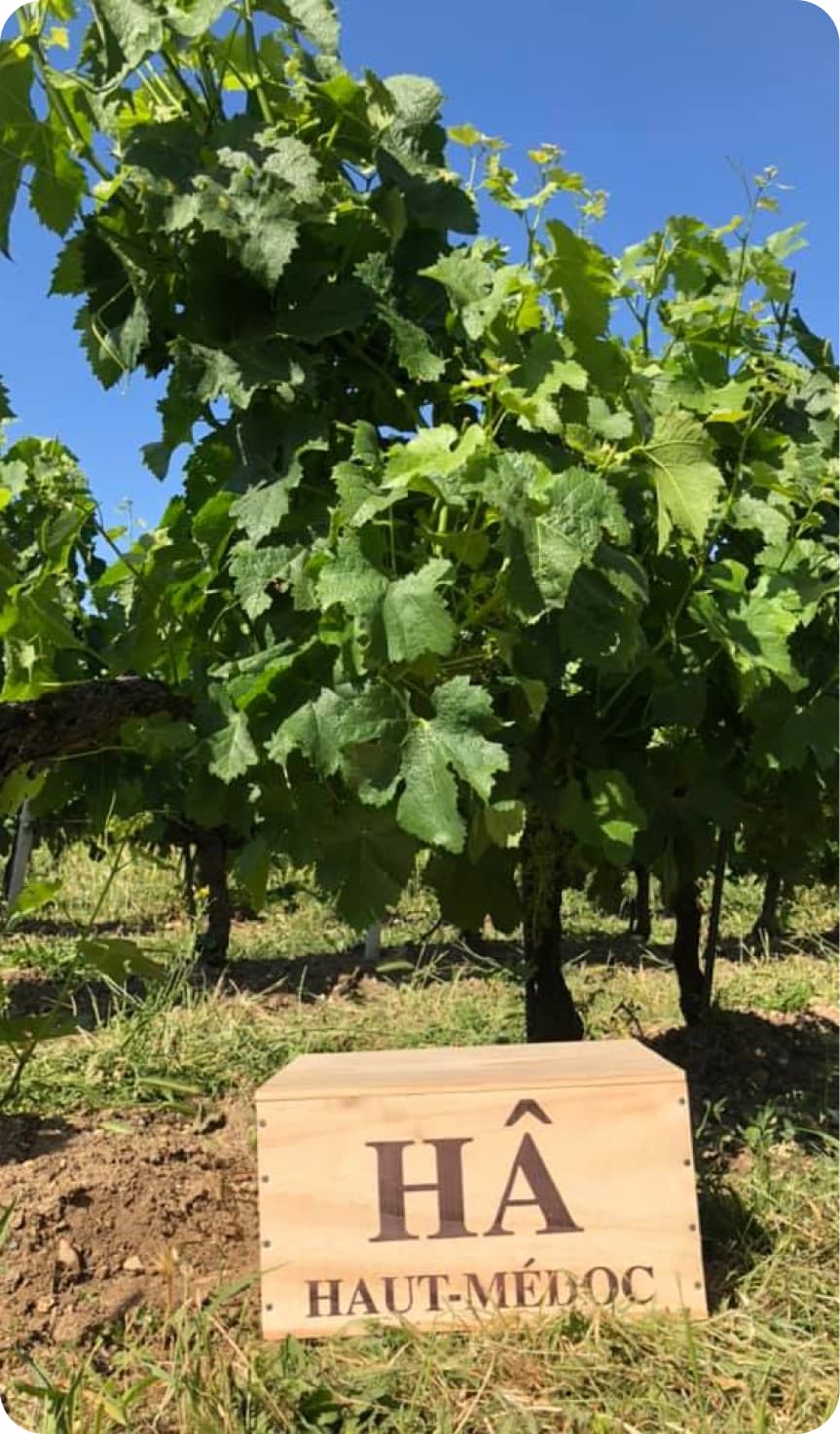 Carton de vin sur-mesure Chateau du Hâ