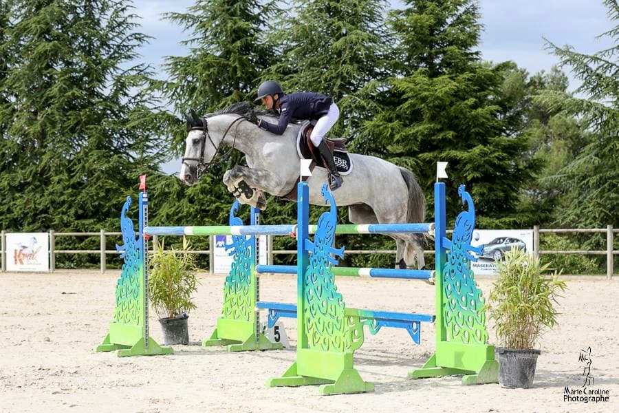 Saut de barrière en extérieur, compétition pour un cheval entraîné au Château du Hâ