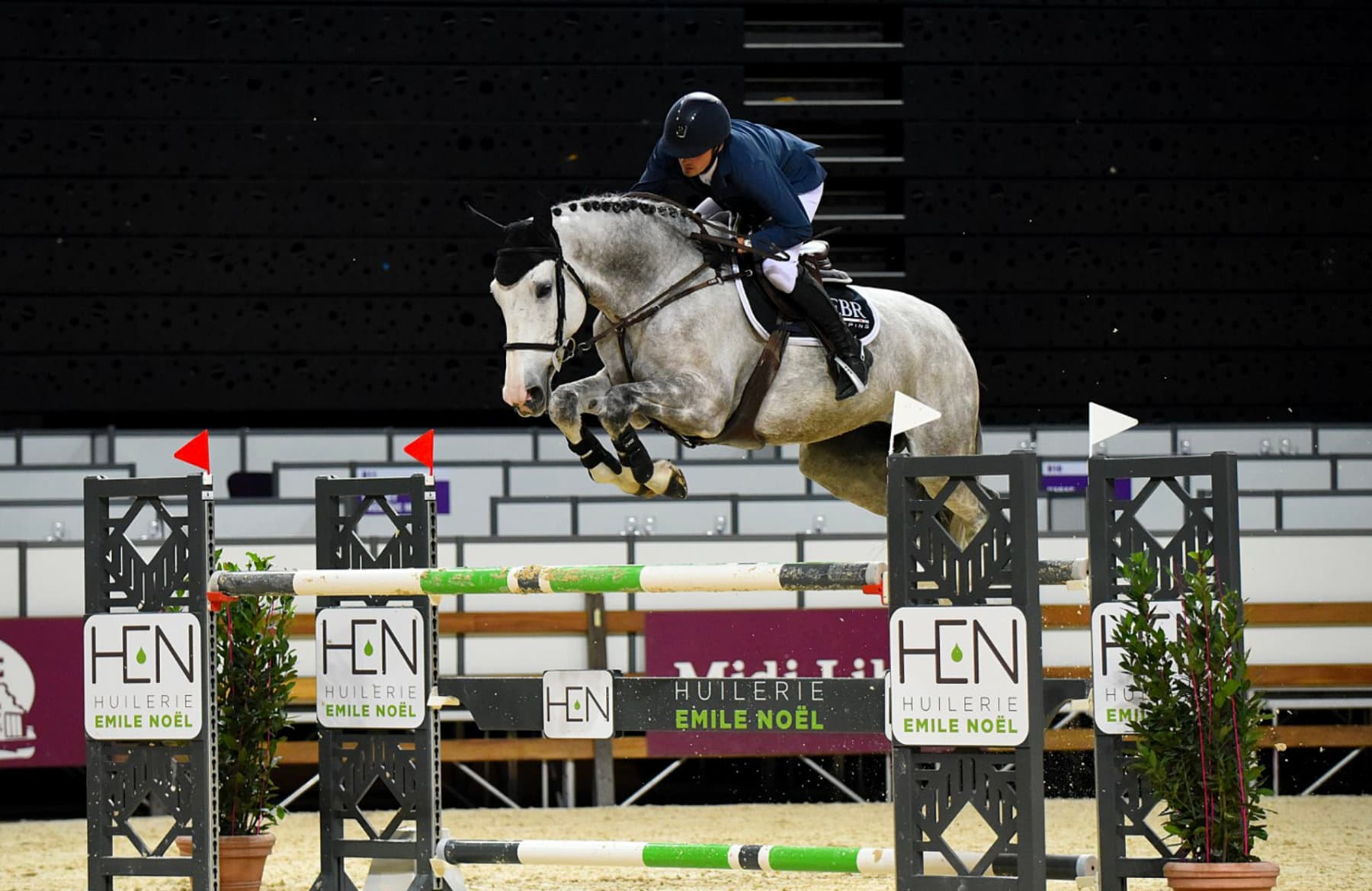 Magestueux saut d'obstacle pour un cheval et son cavalier